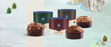 Charger l&#39;image dans la galerie, Panettone Ananas Albicocca e Pistacchi 1000 g
